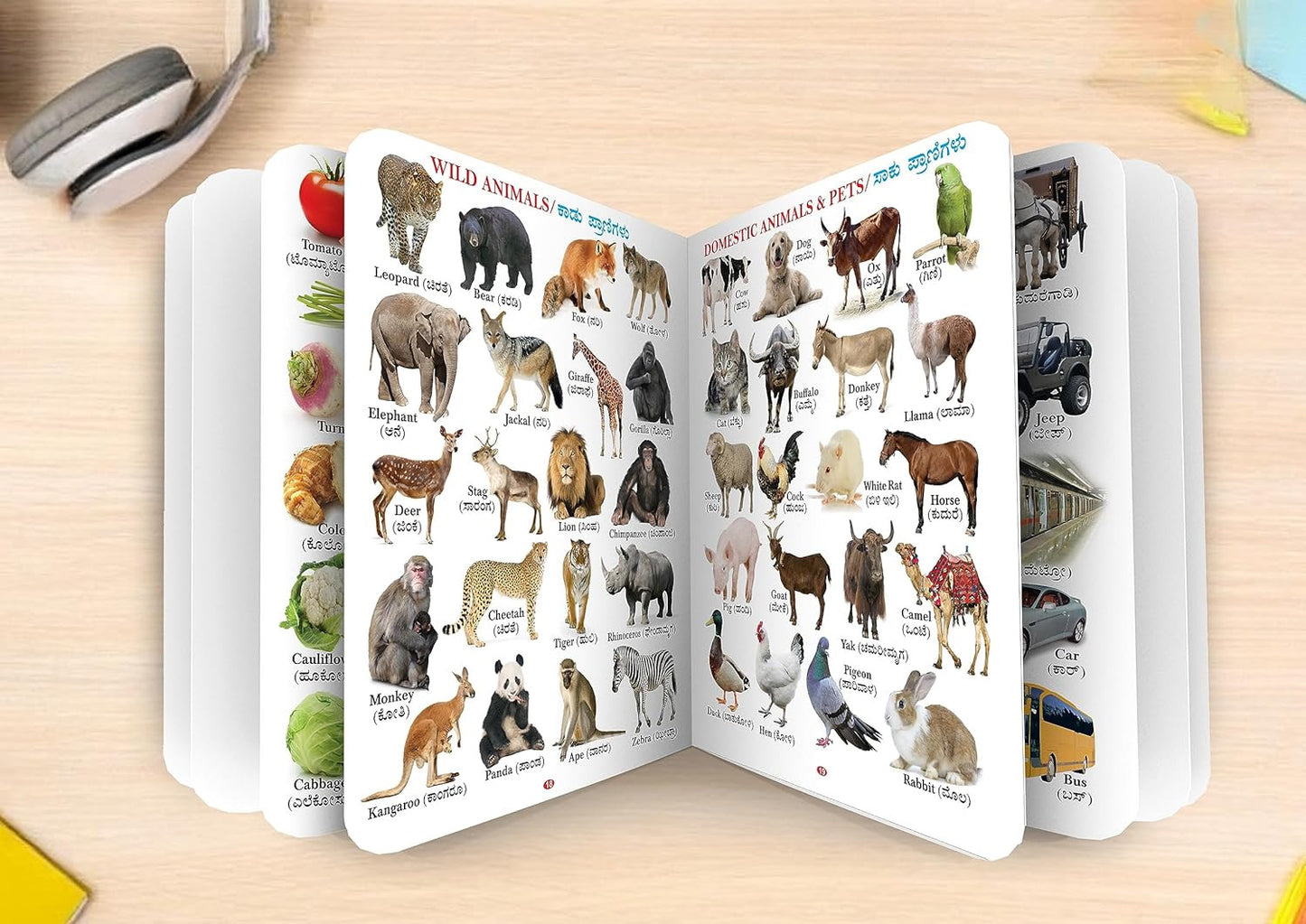 Sawan My First Board Book of All in One English - Kannada