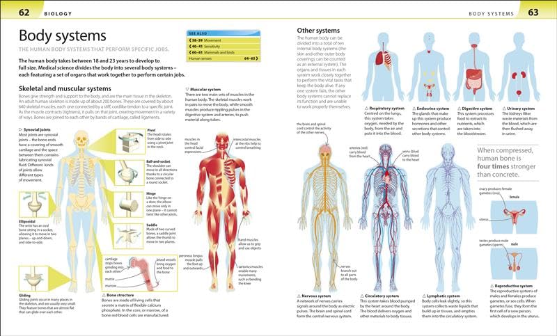 Help Your Kids with Science