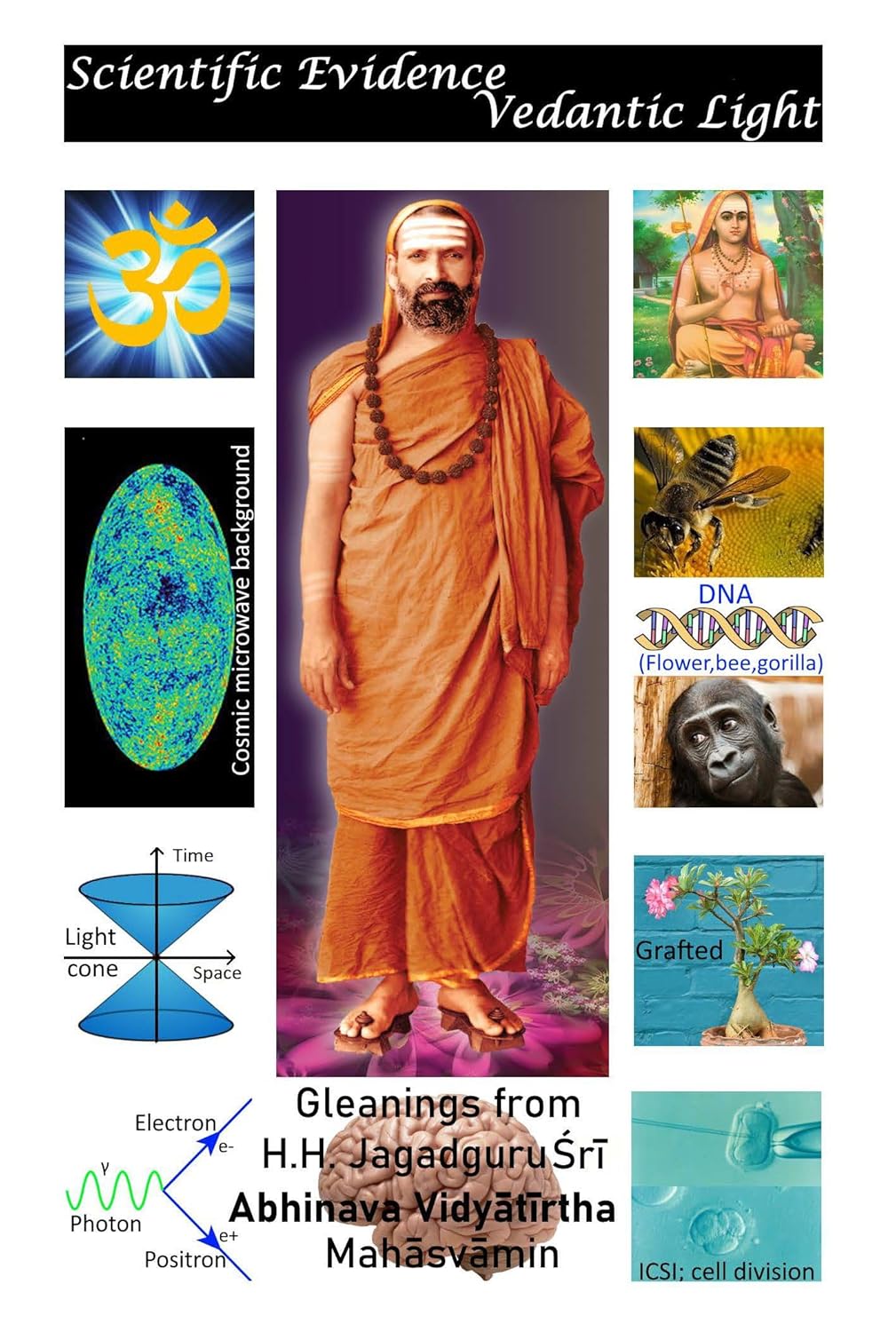 Scientific Evidence - Vedantic Light